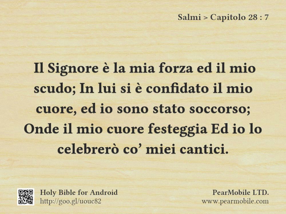 Salmi, Capitolo 28:7
